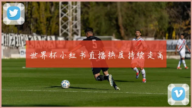 世界杯小红书直播热度持续走高