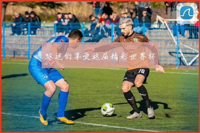 球迷们享受这届精彩世界杯